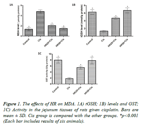 biomedres-jejunum-tissues