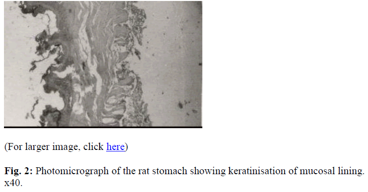 biomedres-keratinisation-mucosal-lining