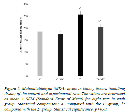 biomedres-kidney-tissues