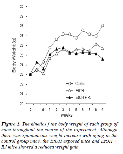 biomedres-kinetics-body-weight