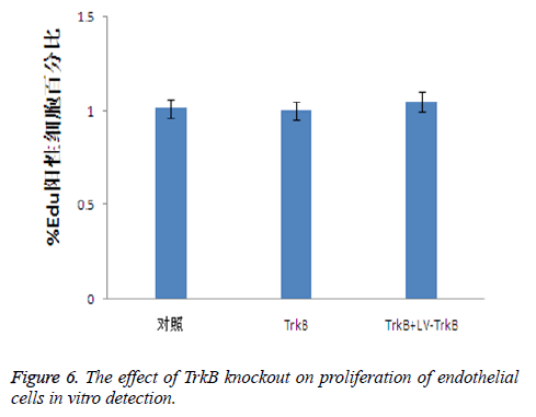 biomedres-knockout-proliferation