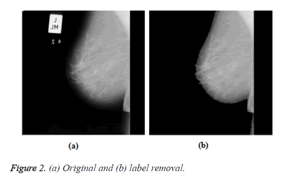 biomedres-label-removal