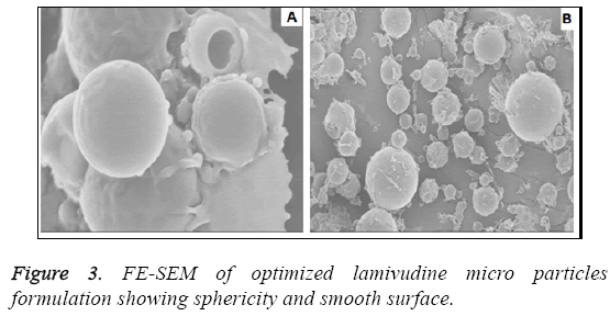 biomedres-lamivudine-micro-particles