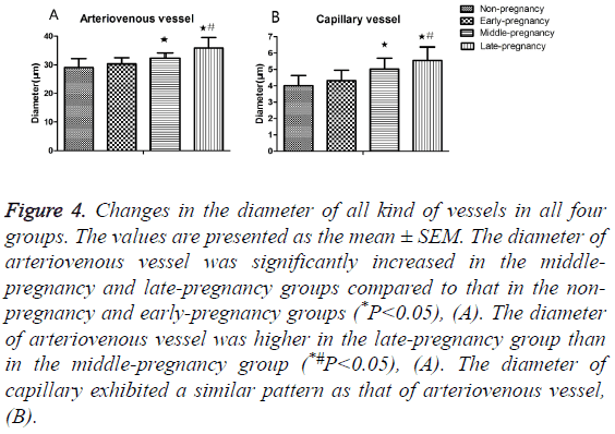 biomedres-late-pregnancy-groups