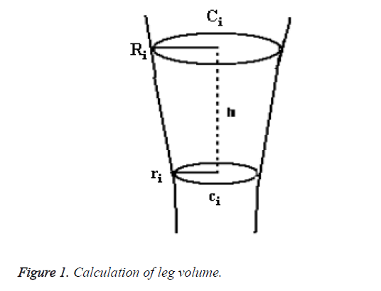 biomedres-leg-volume