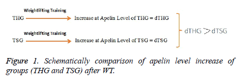 biomedres-level-increase