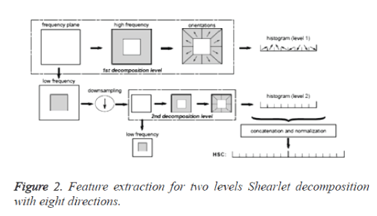 biomedres-levels-Shearlet