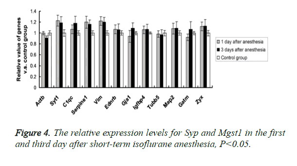 biomedres-levels-Syp