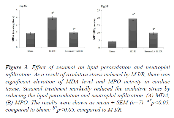 biomedres-lipid-peroxidation