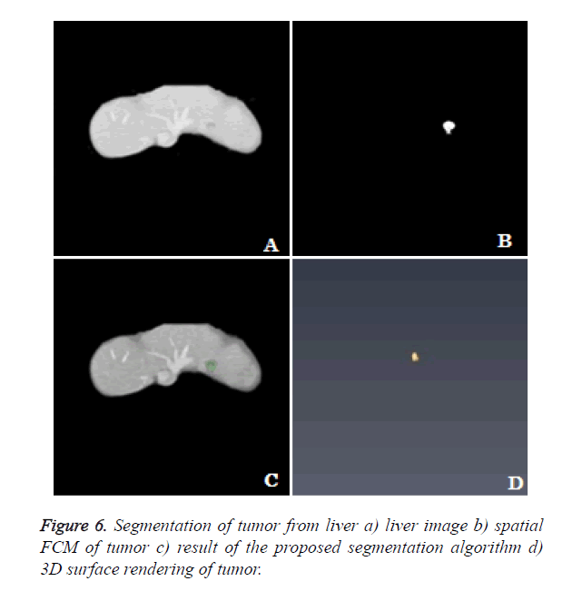 biomedres-liver-image