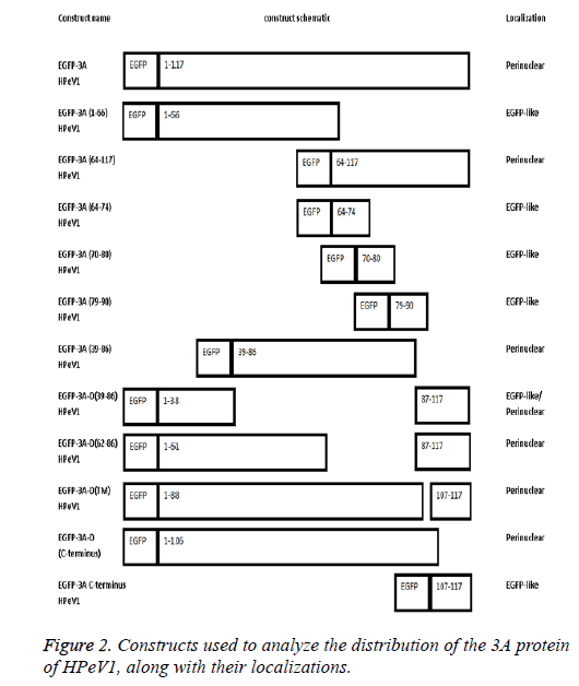 biomedres-localizations