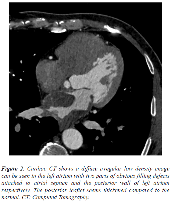 biomedres-low-density-image