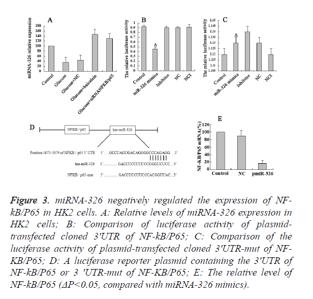 biomedres-luciferase-activity