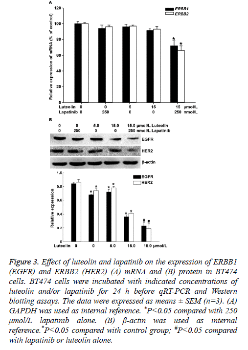 biomedres-luteolin-alone