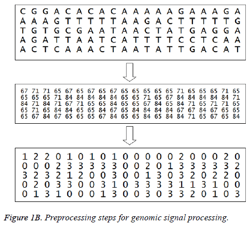 biomedres-lymph-genomic-data