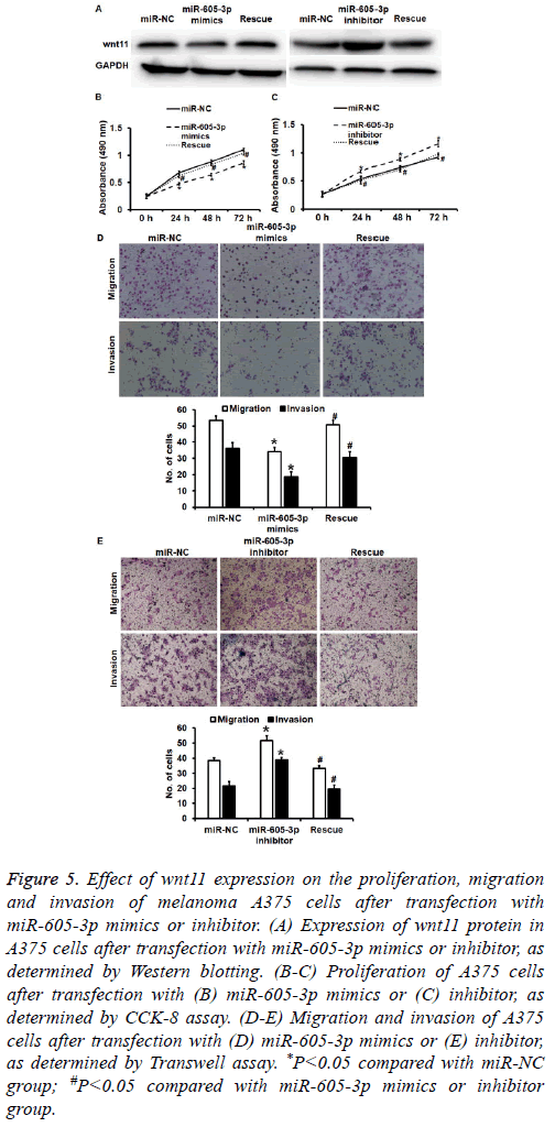 biomedres-lymph-node