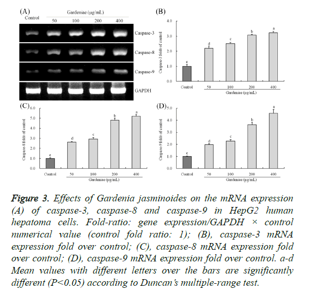 biomedres-mRNA-expression