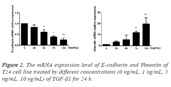 biomedres-mRNA-expression