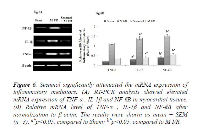 biomedres-mRNA-expression