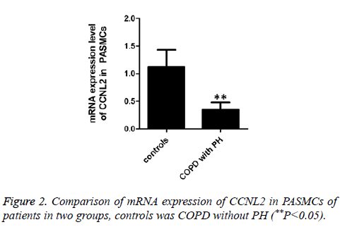 biomedres-mRNA-expression