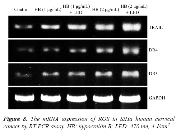 biomedres-mRNA-expression-ROS