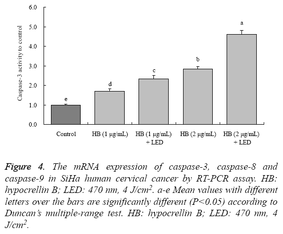 biomedres-mRNA-expression-caspase