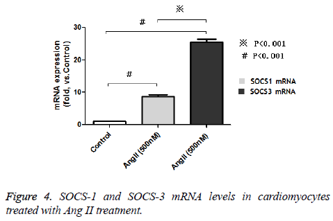 biomedres-mRNA-levels