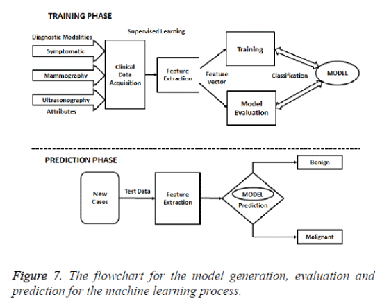 biomedres-machine-learning-process