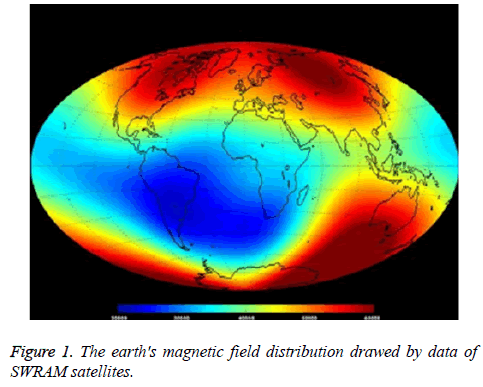 biomedres-magnetic-field