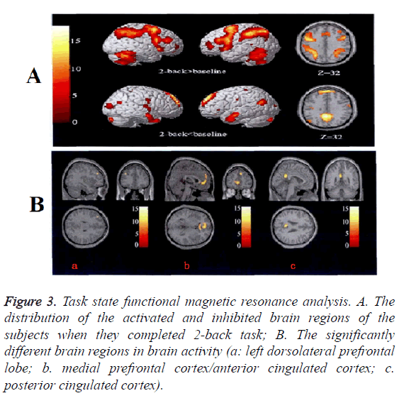 biomedres-magnetic-resonance-analysis