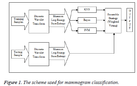 biomedres-mammogram-scheme