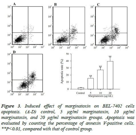 biomedres-marginatoxin-groups