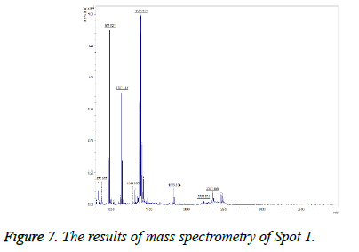 biomedres-mass-spectrometry