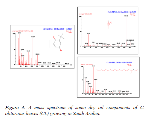 biomedres-mass-spectrum