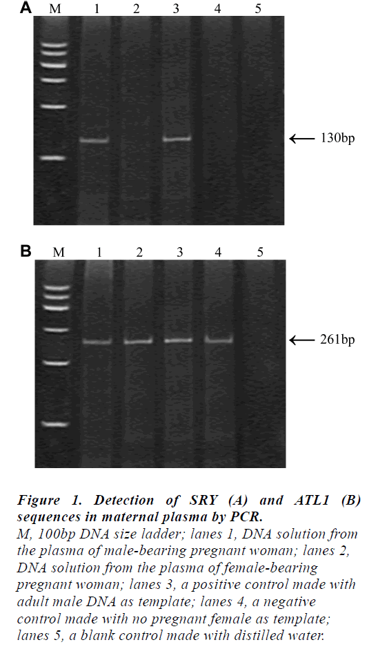 biomedres-maternal-plasma