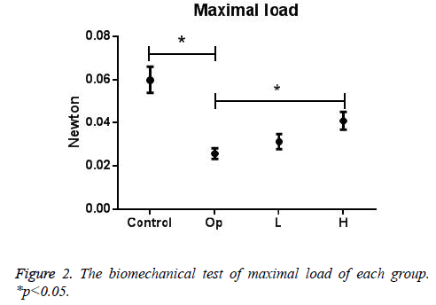 biomedres-maximal-loadl