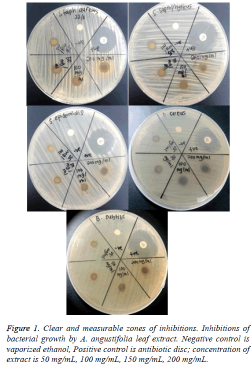 biomedres-measurable-zones