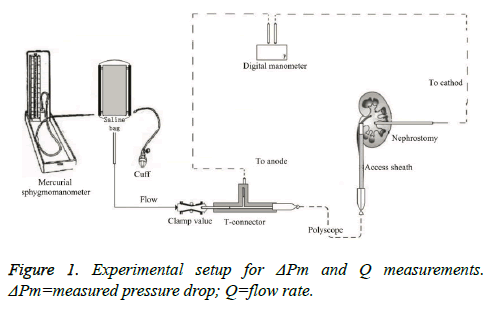 biomedres-measured-pressure