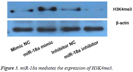 biomedres-mediates-expression