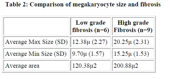 biomedres-megakaryocyte-size-fibrosis