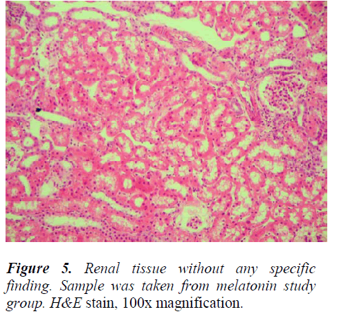 biomedres-melatonin-study