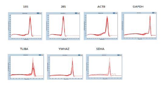 biomedres-melting-curve-analysis