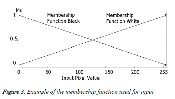 biomedres-membership-function