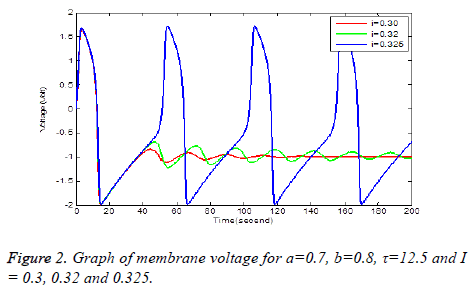 biomedres-membrane-voltage