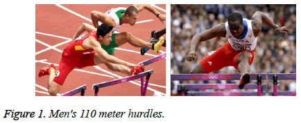 biomedres-meter-hurdles