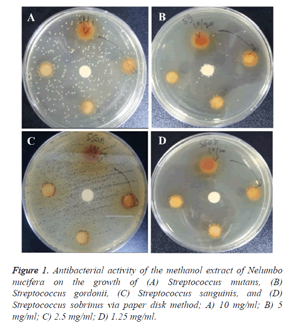 biomedres-methanol-extract