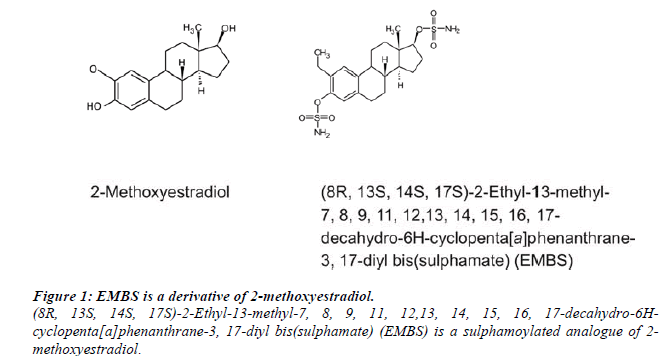 biomedres-methoxyestradiol