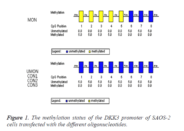 biomedres-methylation-status