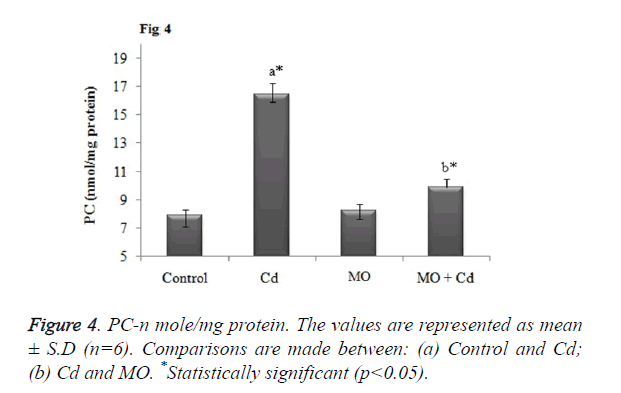 biomedres-mg-protein