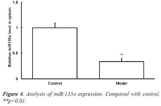 biomedres-miR-135a-expression